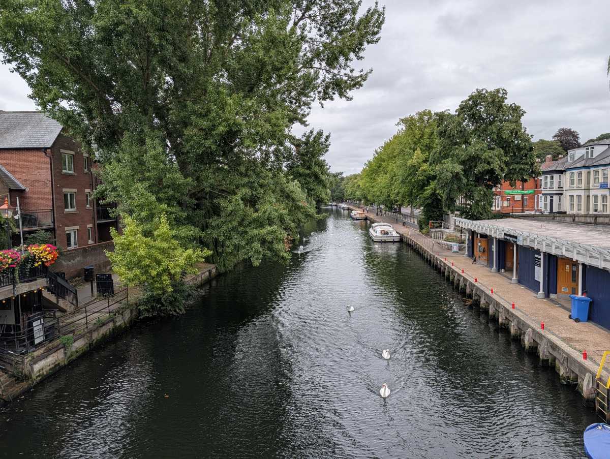 google pixel 10 pro xl camera sample 2