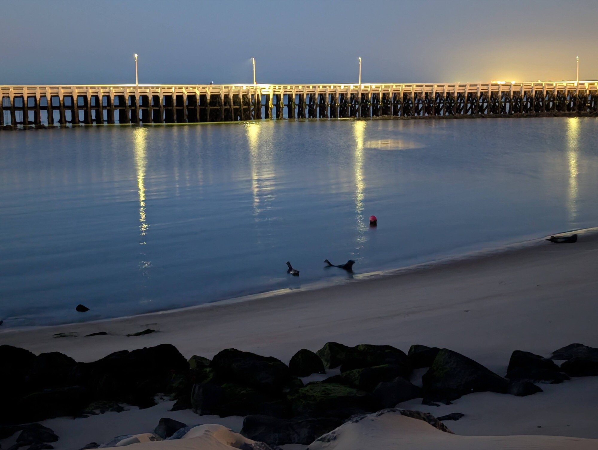 Google Pixel 10 Pro XL sela amostra de câmera de visão noturna Google Pixel 10 Pro XL sela amostra de câmera de visão noturna