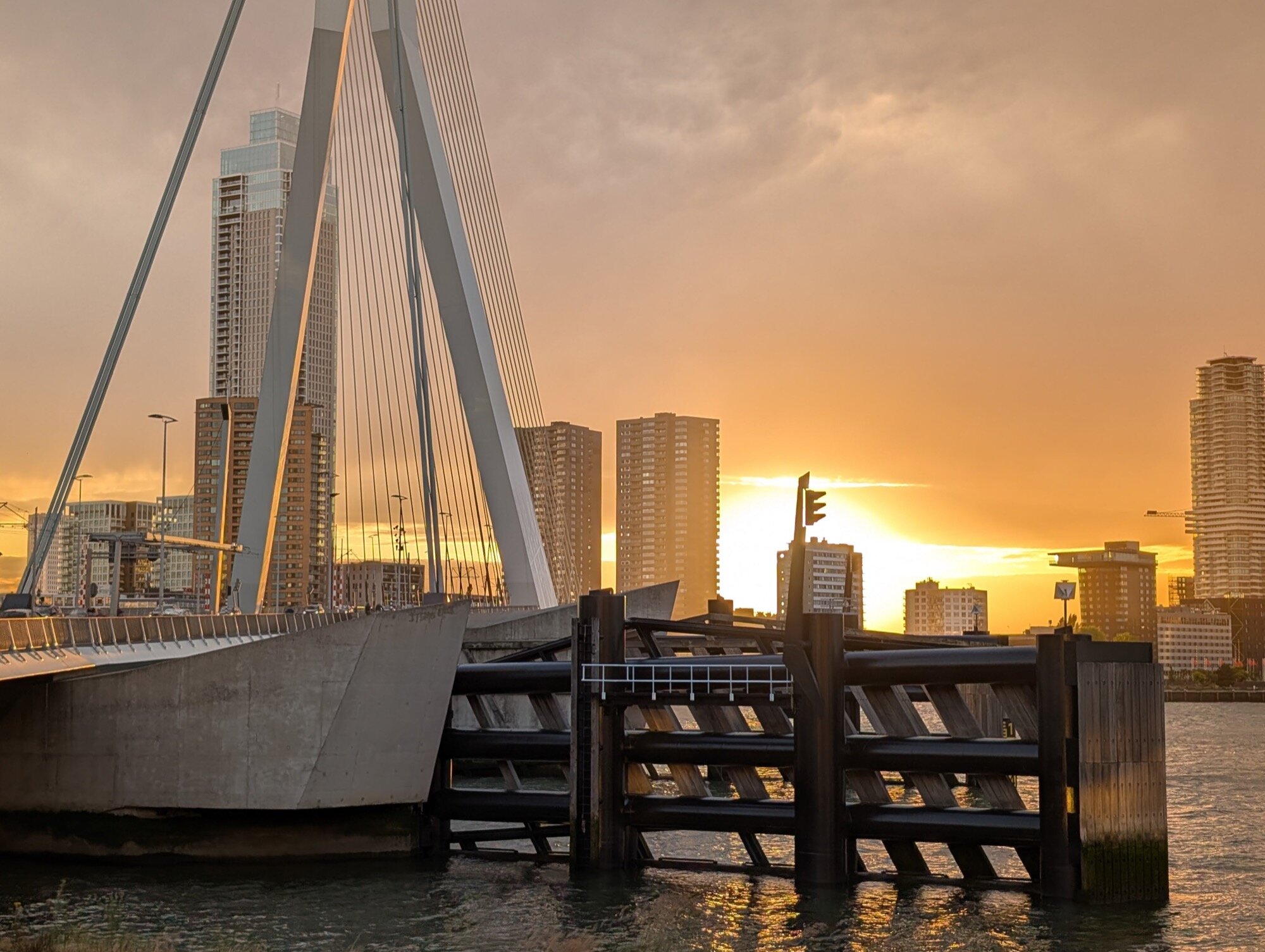 amostra de câmera google pixel favorita 21