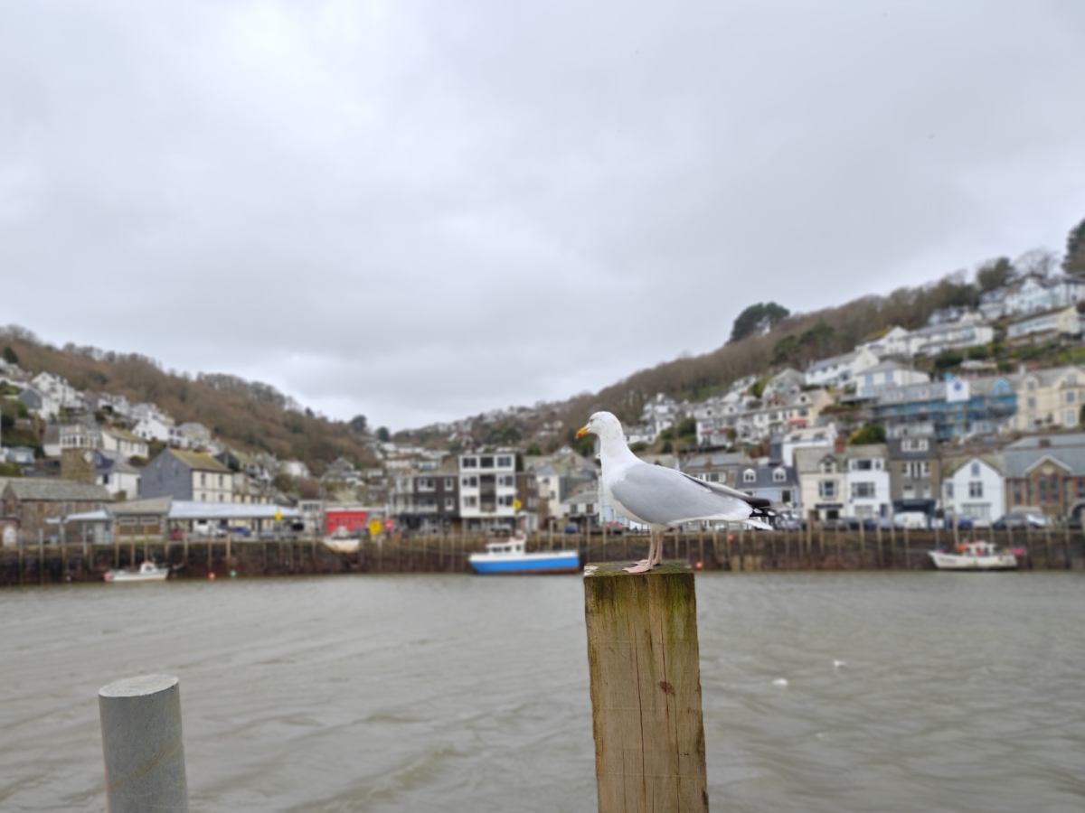 Redmagic 11 Air PORTRAIT