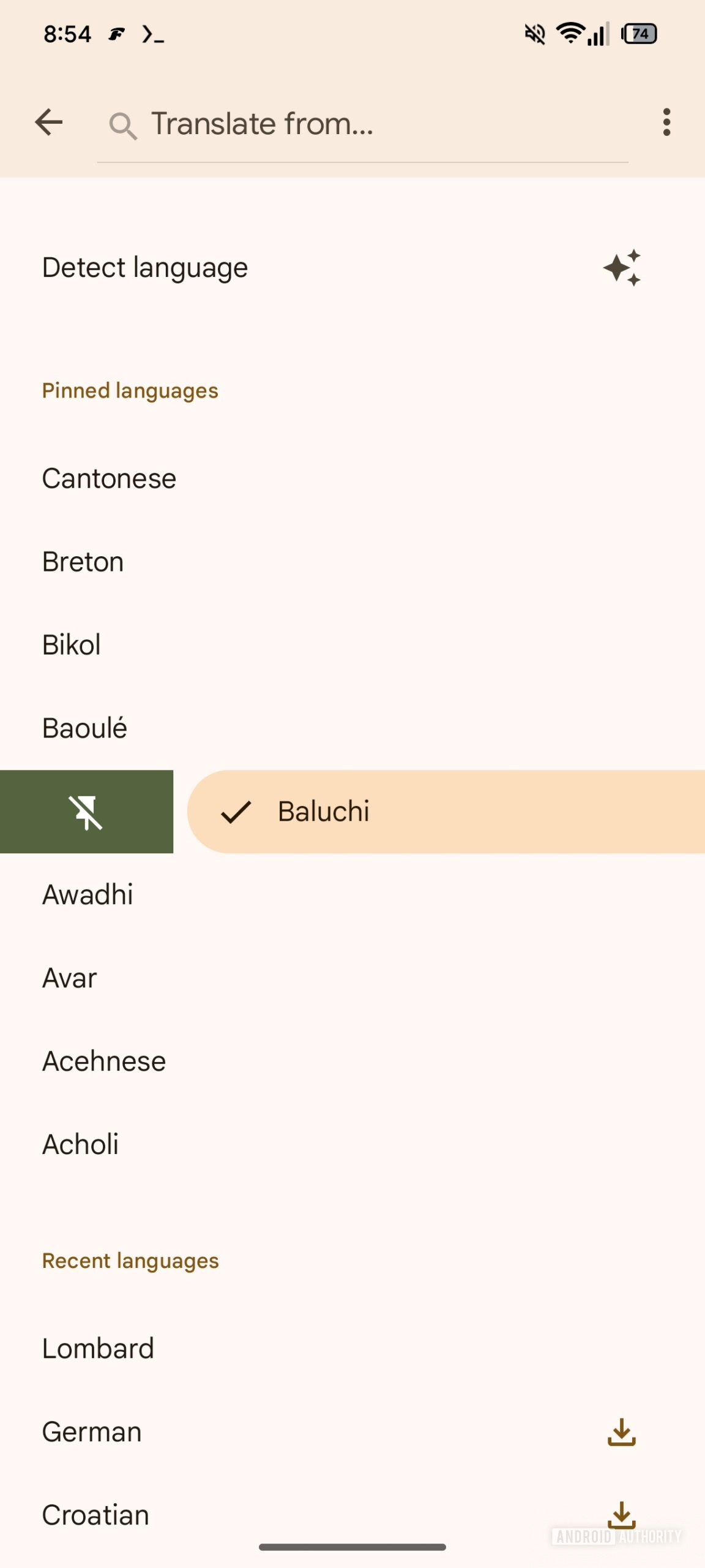 liberar idioma google transate 1