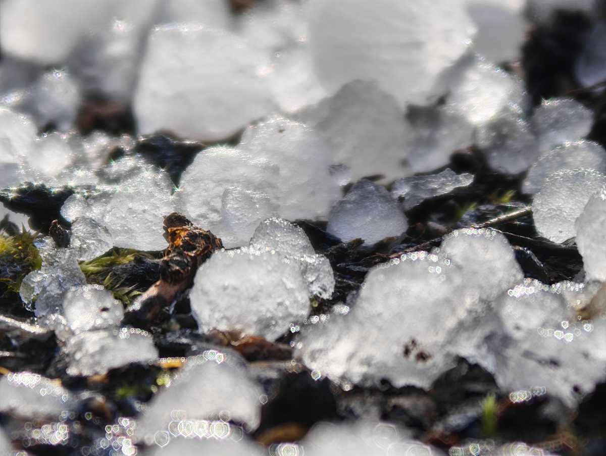 Honor Magic 8 Pro camera sample Professional Imaging Kit 800mm hail macro