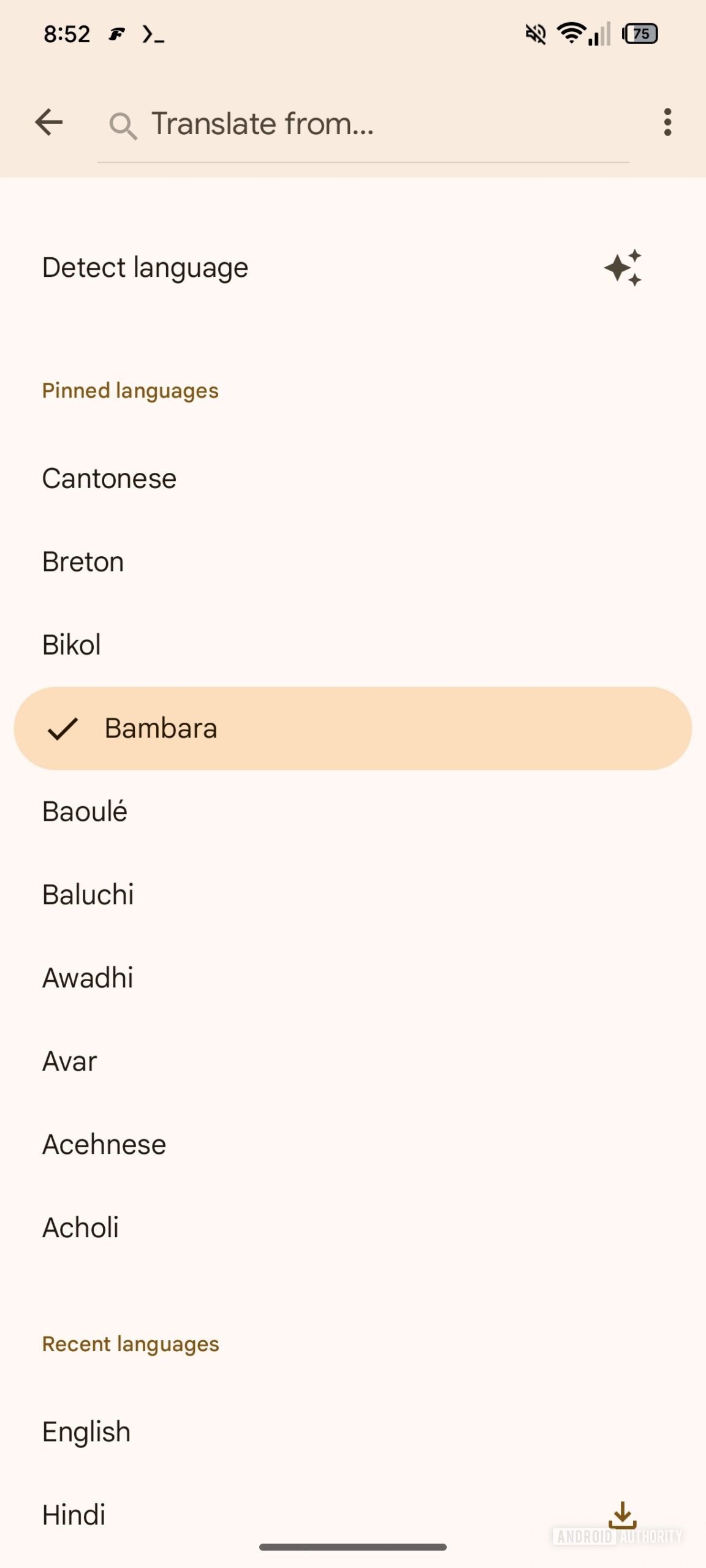 idiomas fixados google transate 1