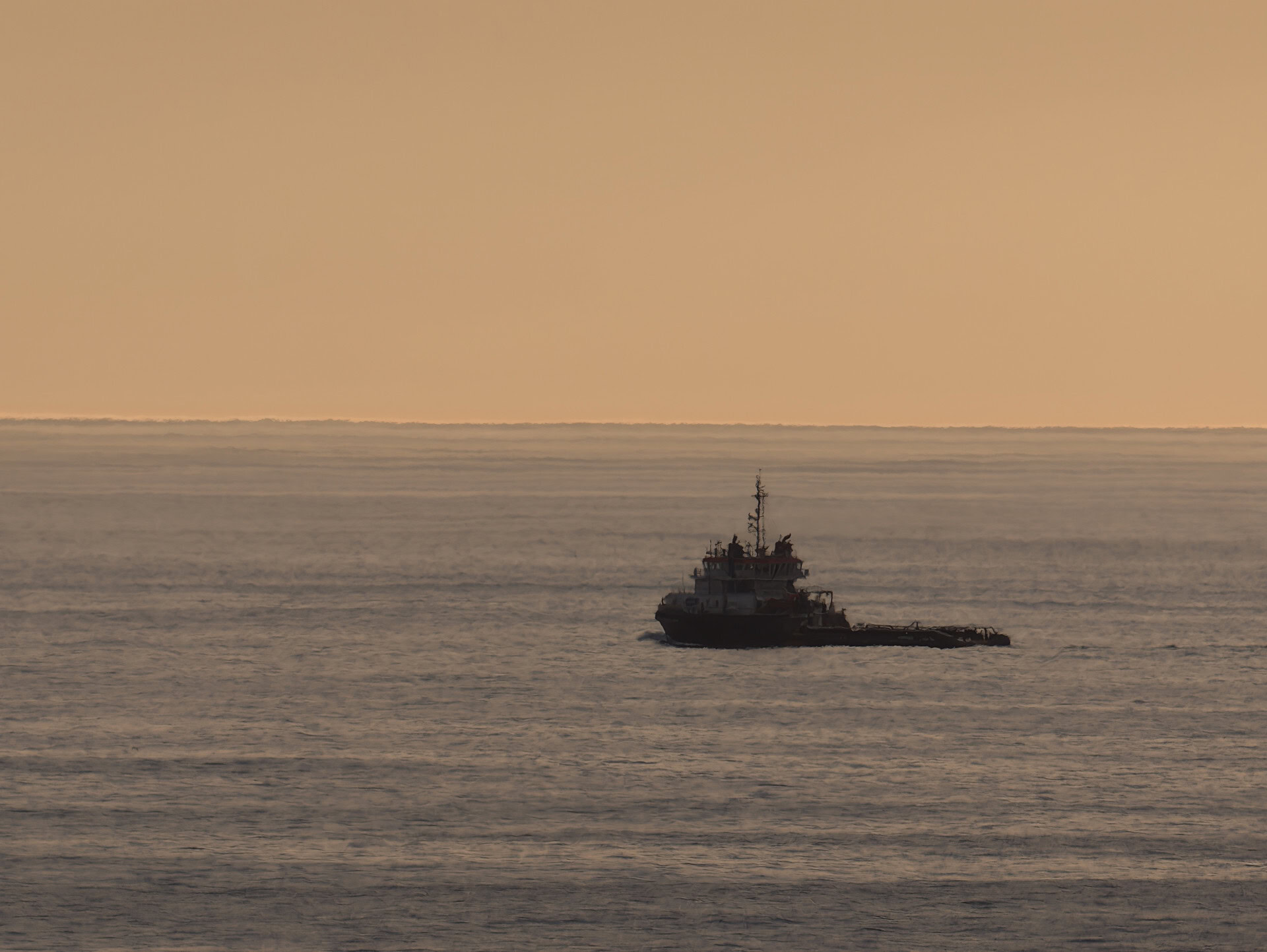 barco vivo X300 Ultra 800mm