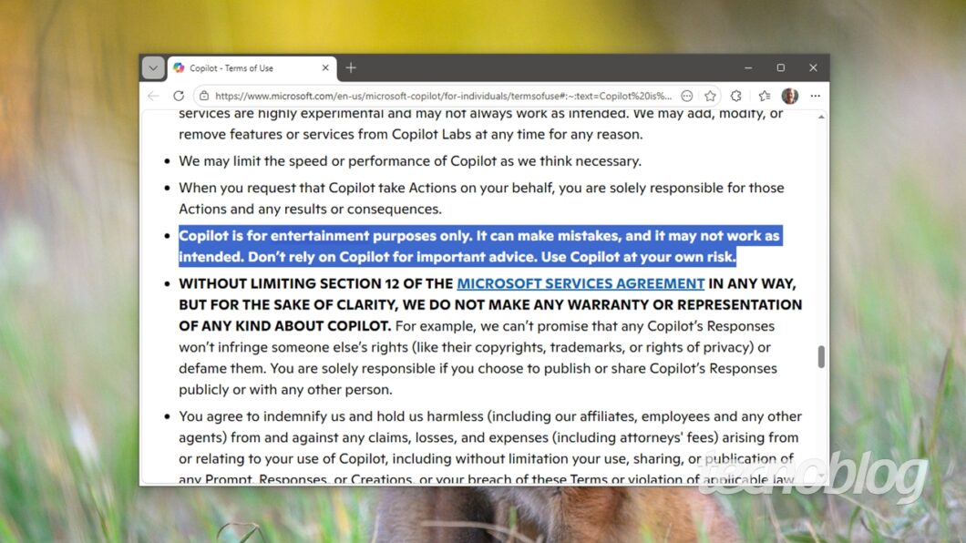 Os polêmicos termos de uso do Copilot