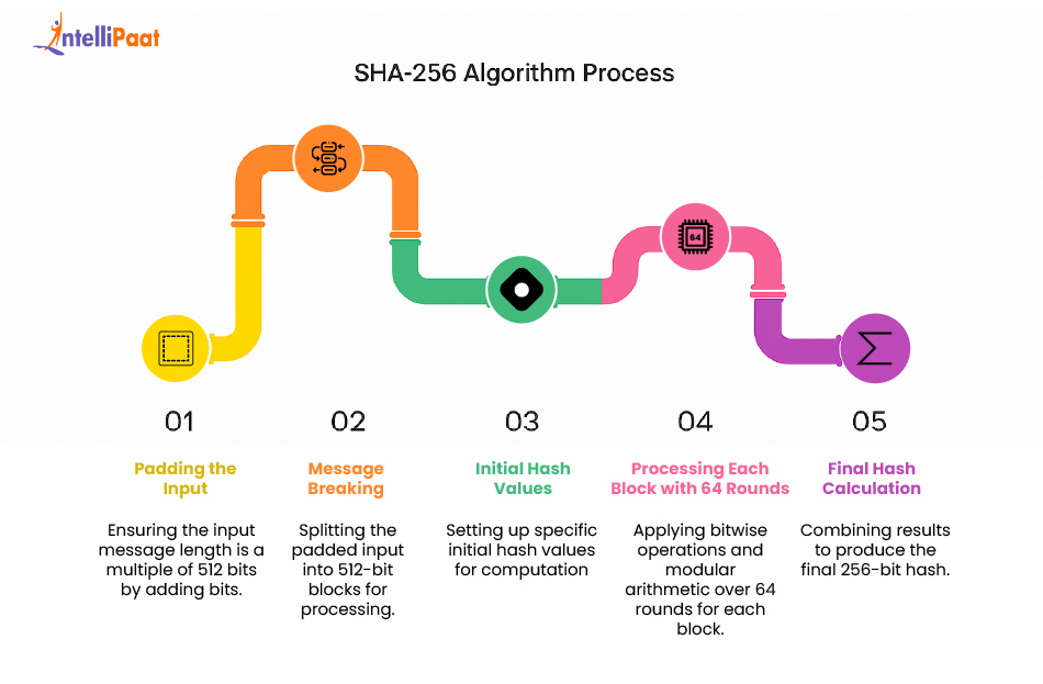 infogr&aacute;fico explicando o processo da fun&ccedil;&atilde;o hash