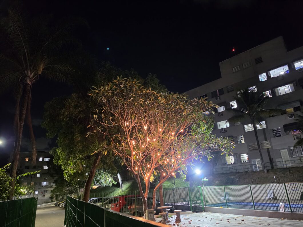 Foto noturna de árvore com lâmpadas penduradas feita com Galaxy S26 Ultra