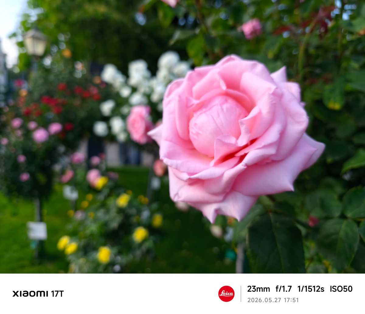 Xiaomi 17T test photo 12