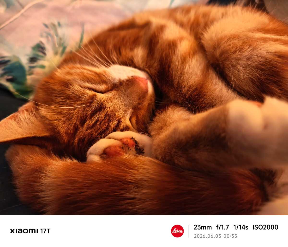 Xiaomi 17T test photo 20