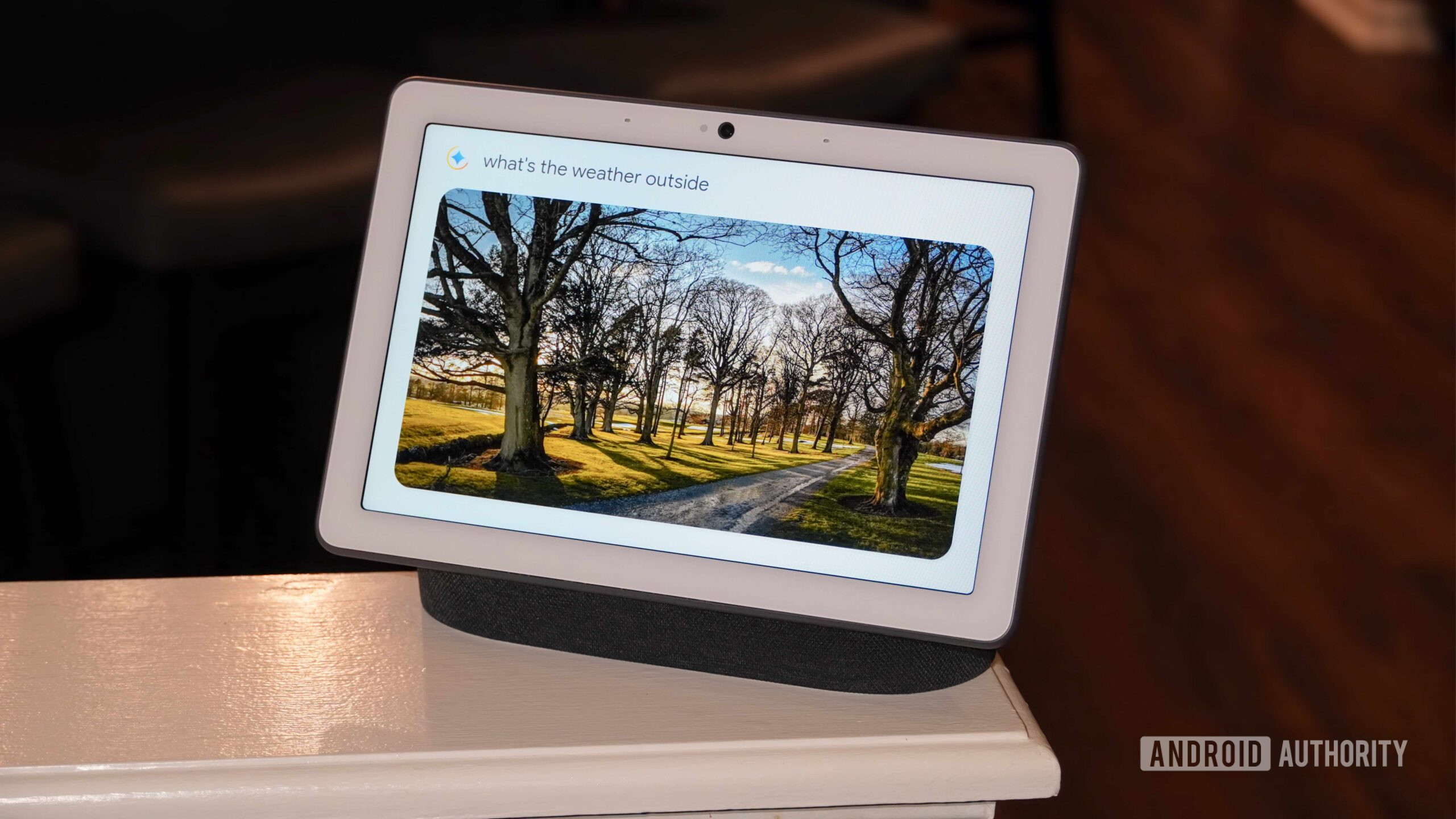 A sobreposição Gemini em um Nest Hub Max.