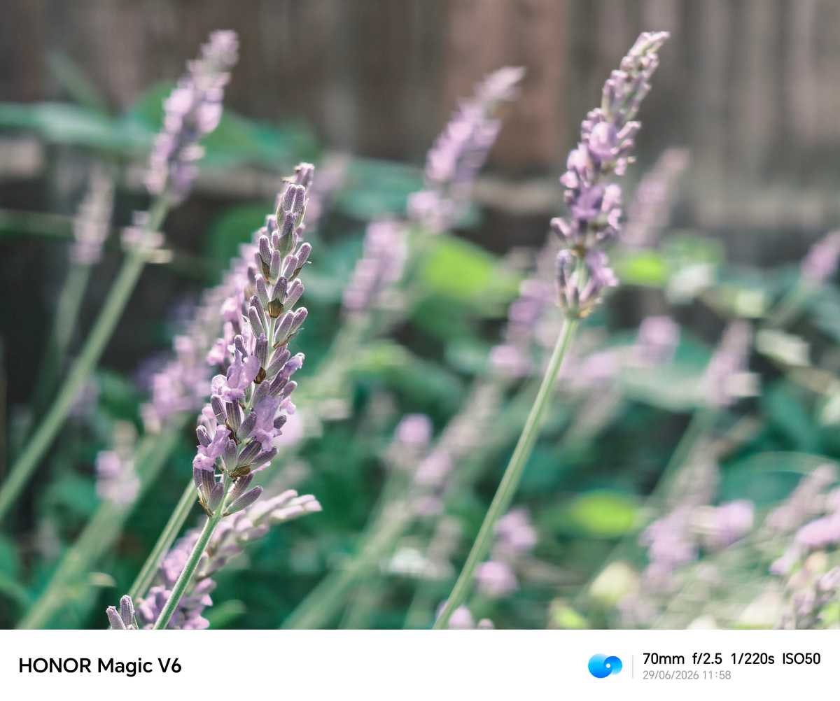 Honor Magic V6 Test photo 15