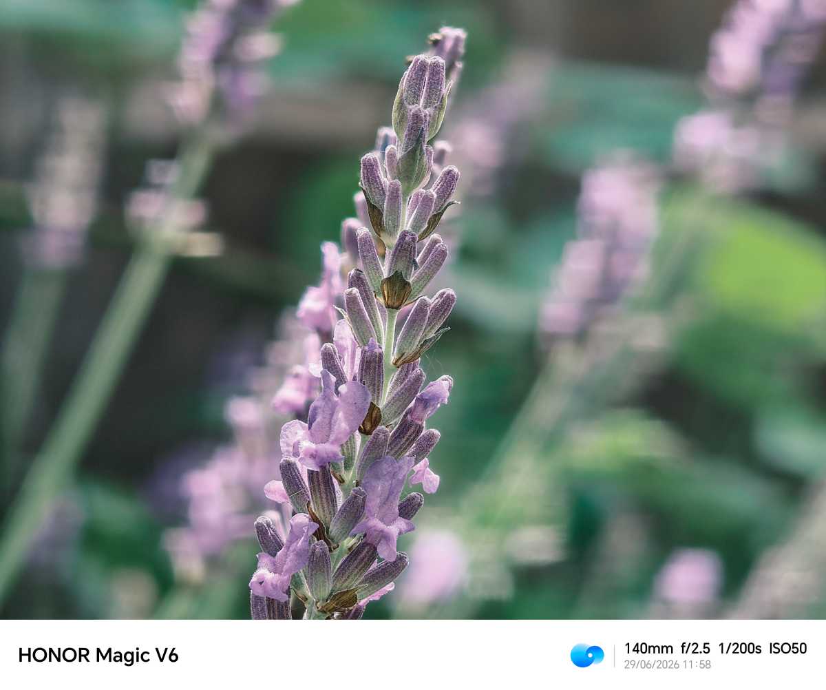 Honor Magic V6 Test photo 16