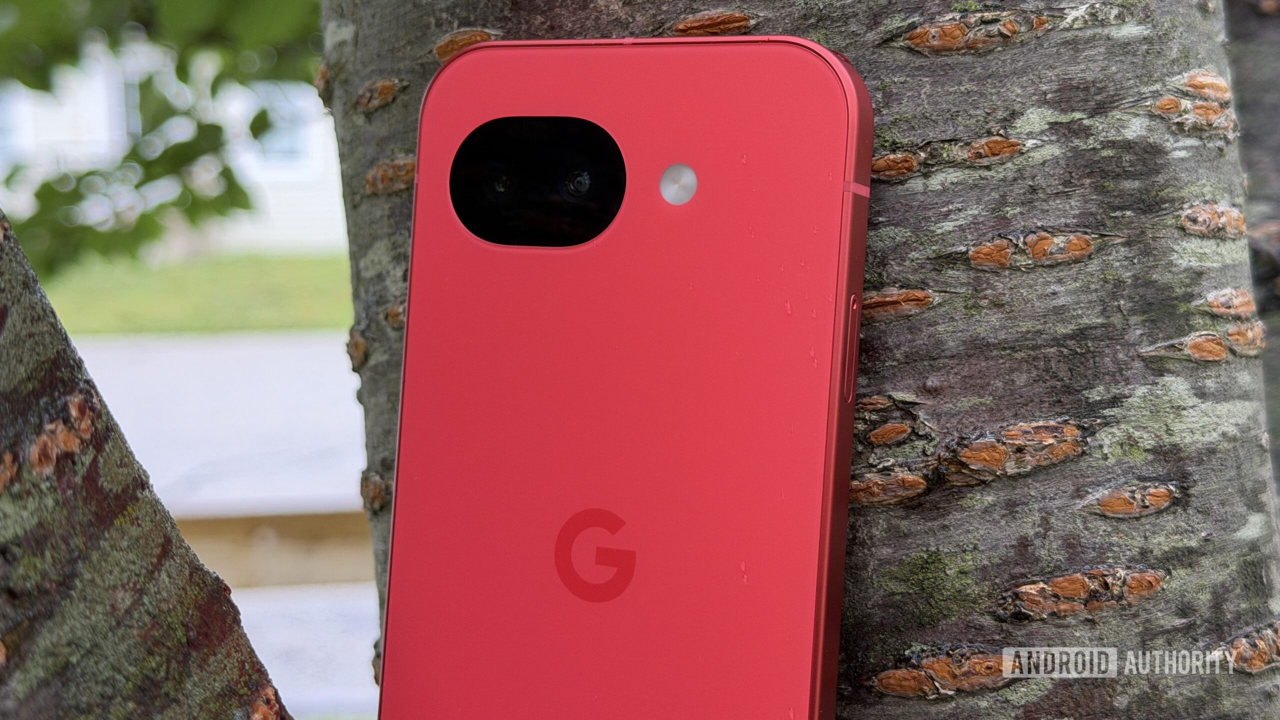 Google Pixel 10a Berry contra uma árvore