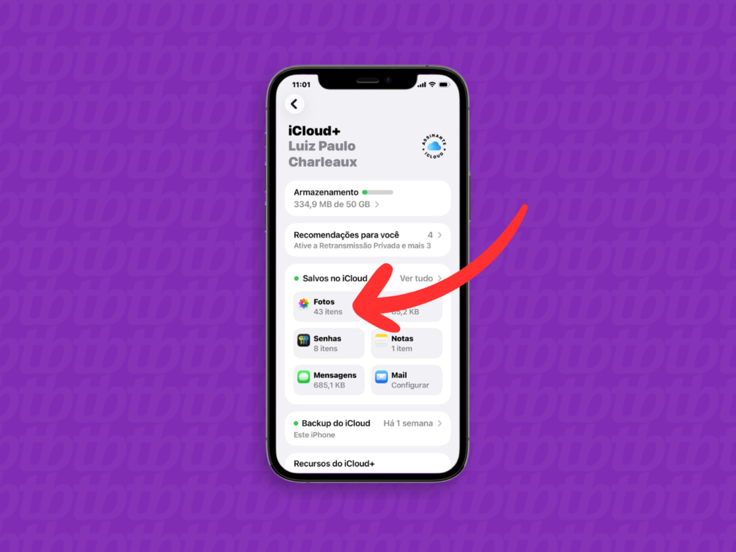Tela de configurações do iCloud com “Fotos” selecionado, mostrando “43 itens” (para acessar opções do recurso)
