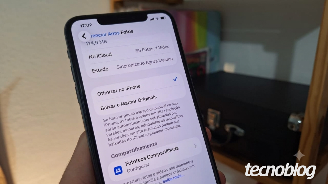 Tela do iPhone mostrando o iCloud Fotos com a opção “Otimizar no iPhone” selecionada para economizar espaço
