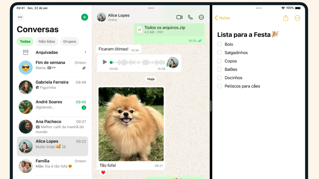 Interface do WhatsApp para iPad em modo de tela dividida. À esquerda, o app mostra a lista de conversas e o chat com "Alice Lopes", com mensagens, áudio e a foto de um cão da raça spitz sorridente com a legenda "Tão fofa!". À direita, o app Notas exibe a lista "Lista para a Festa 🎉", com itens como "Bolo", "Salgadinhos" e "Petiscos para cães".